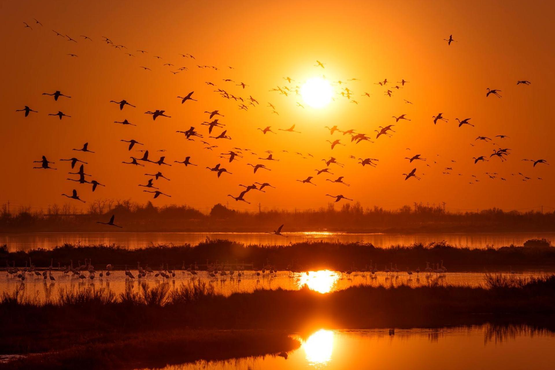 Pines House - Host Solution Appartamento Lido di Jesolo