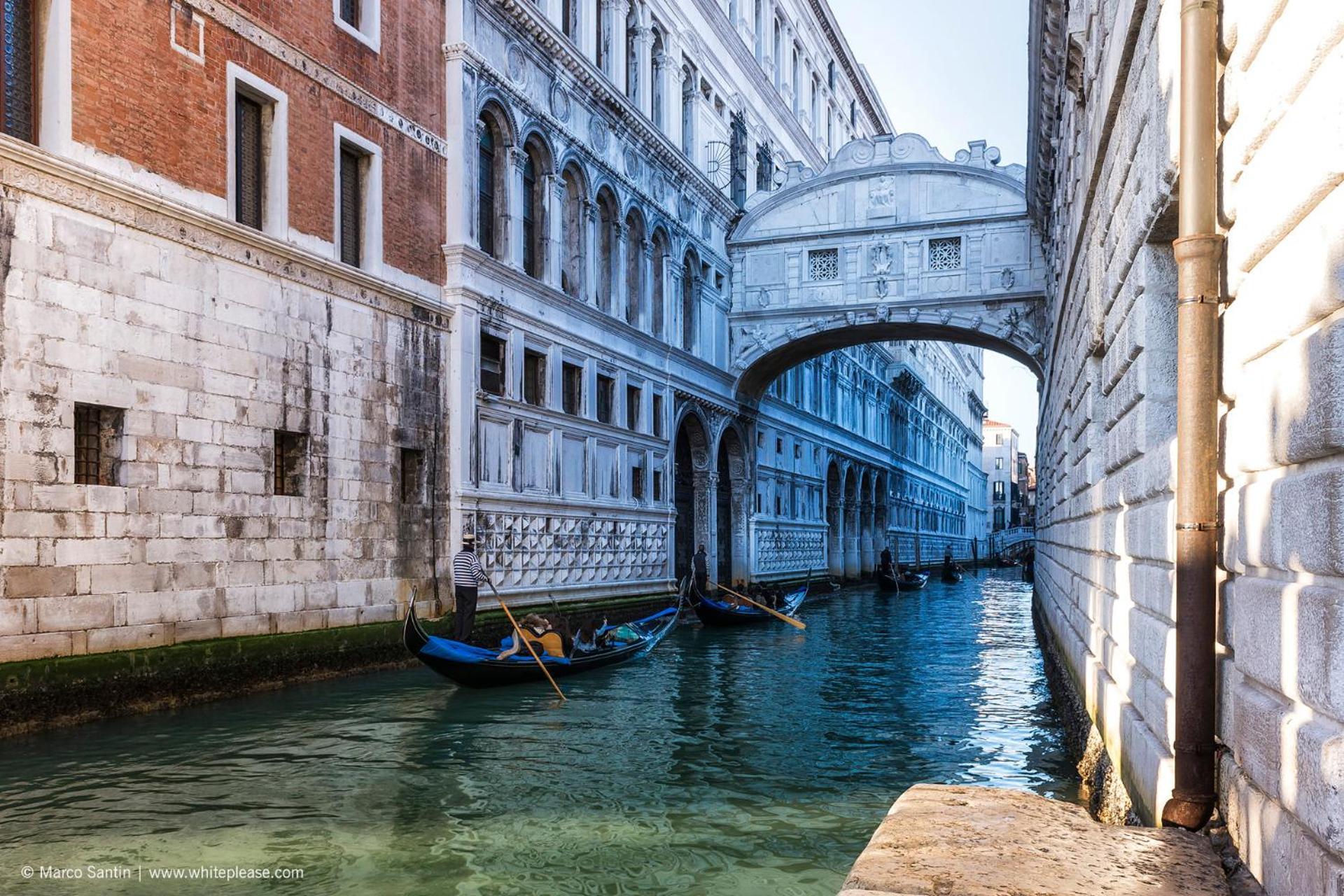 Pines House - Host Solution Lido di Jesolo